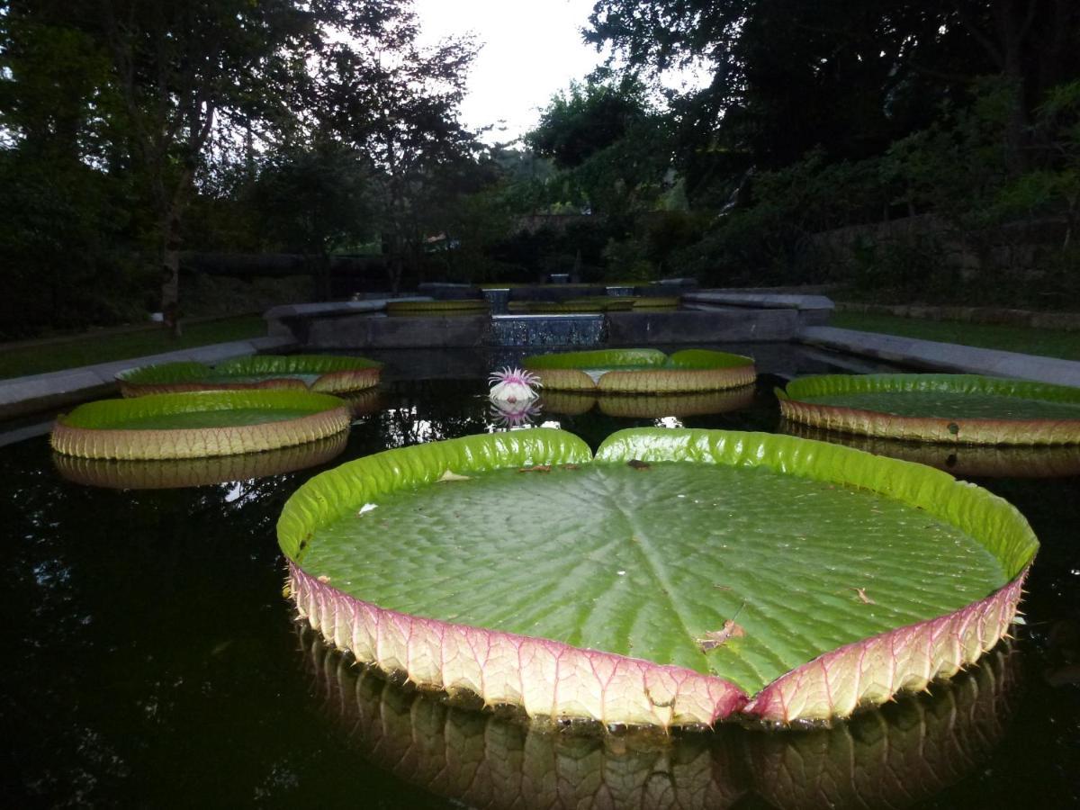 Casa Da Tia Luisa Villa Furnas  Ngoại thất bức ảnh